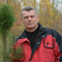 Отзыв от Денис - DTV виза